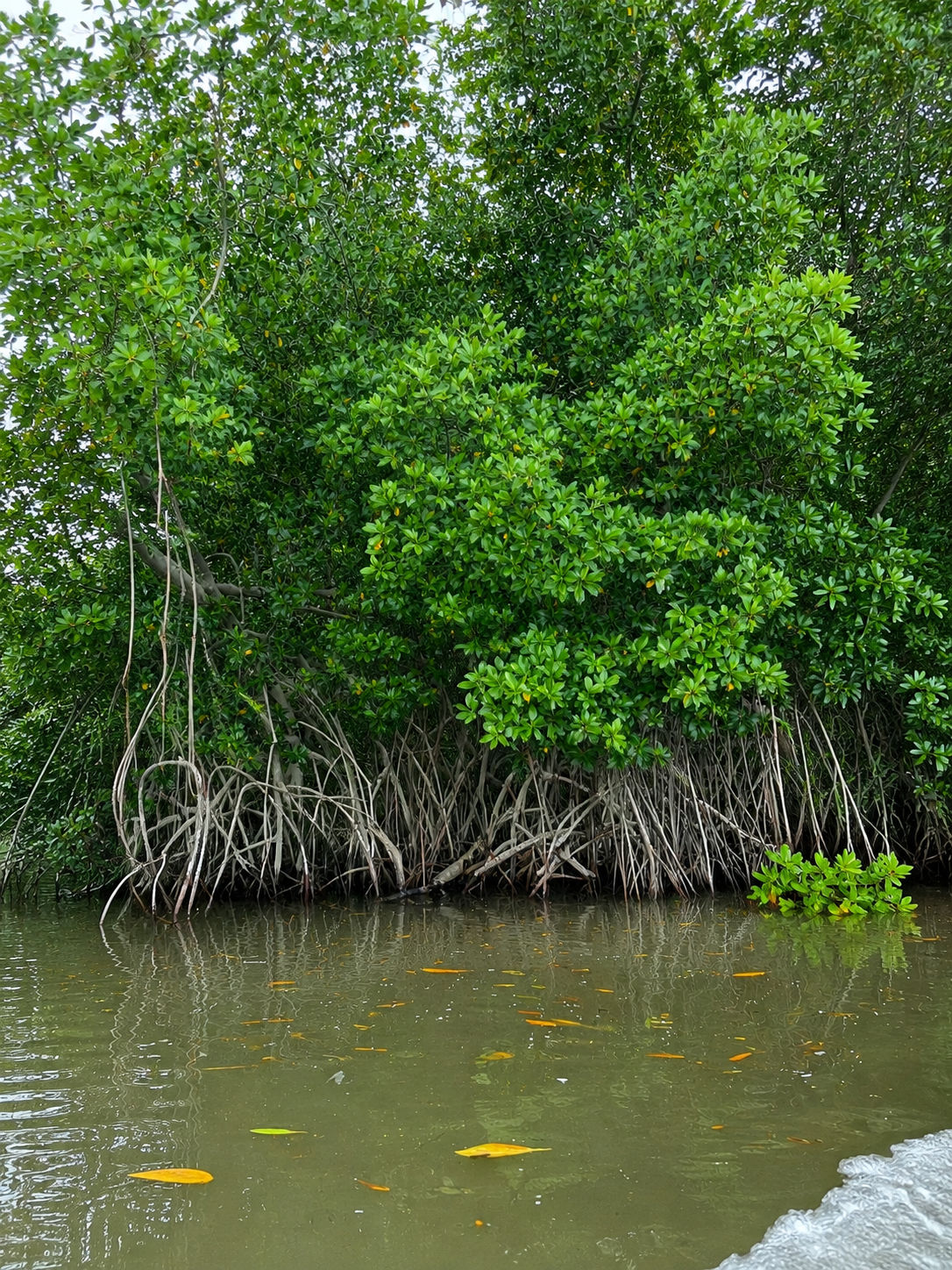 Environmental field assessment supporting technical and regulatory processes in El Salvador